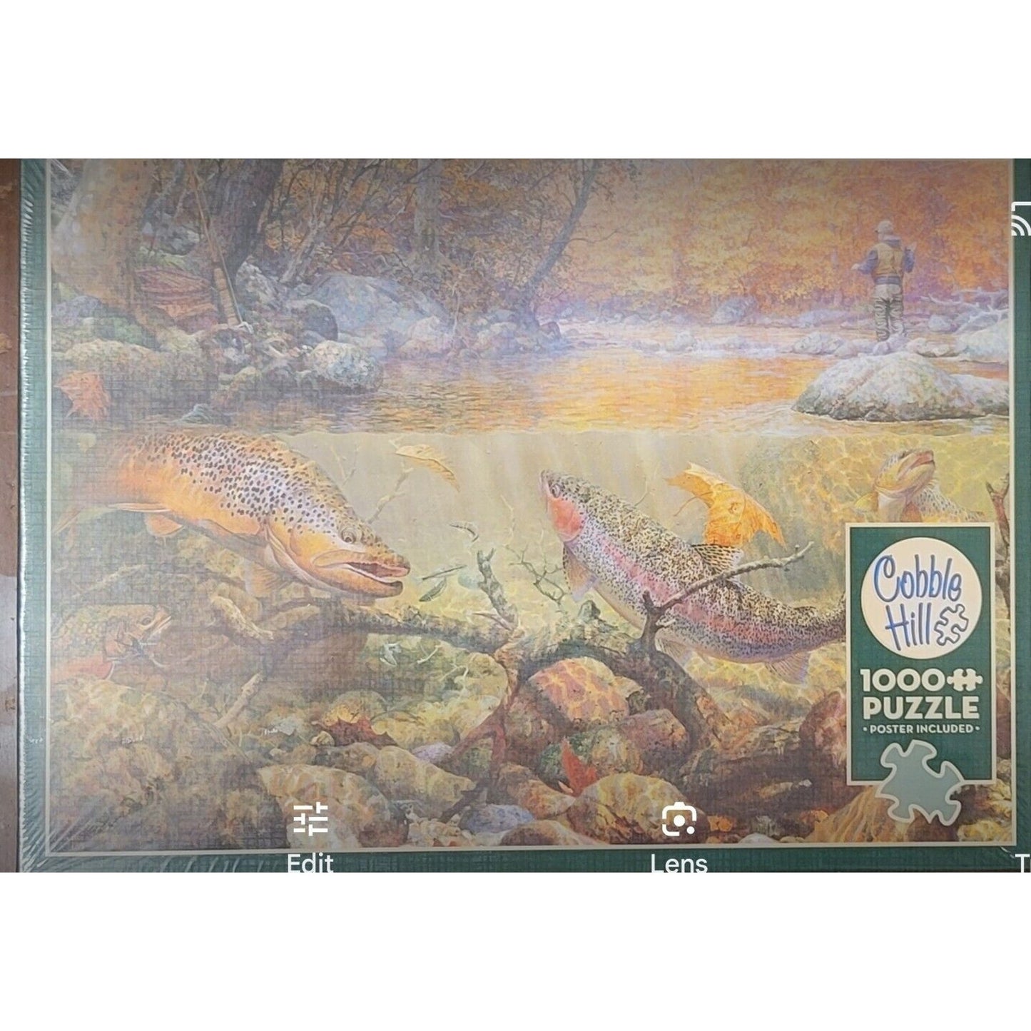 Autumn Dream Day 1000 Piece Jigsaw Puzzle Cobble Hill New